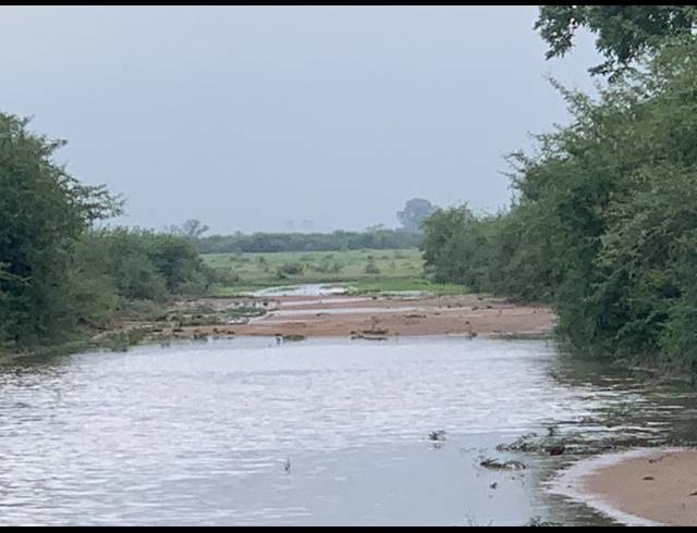 FARM FOR SALE IN DWAALBOOM